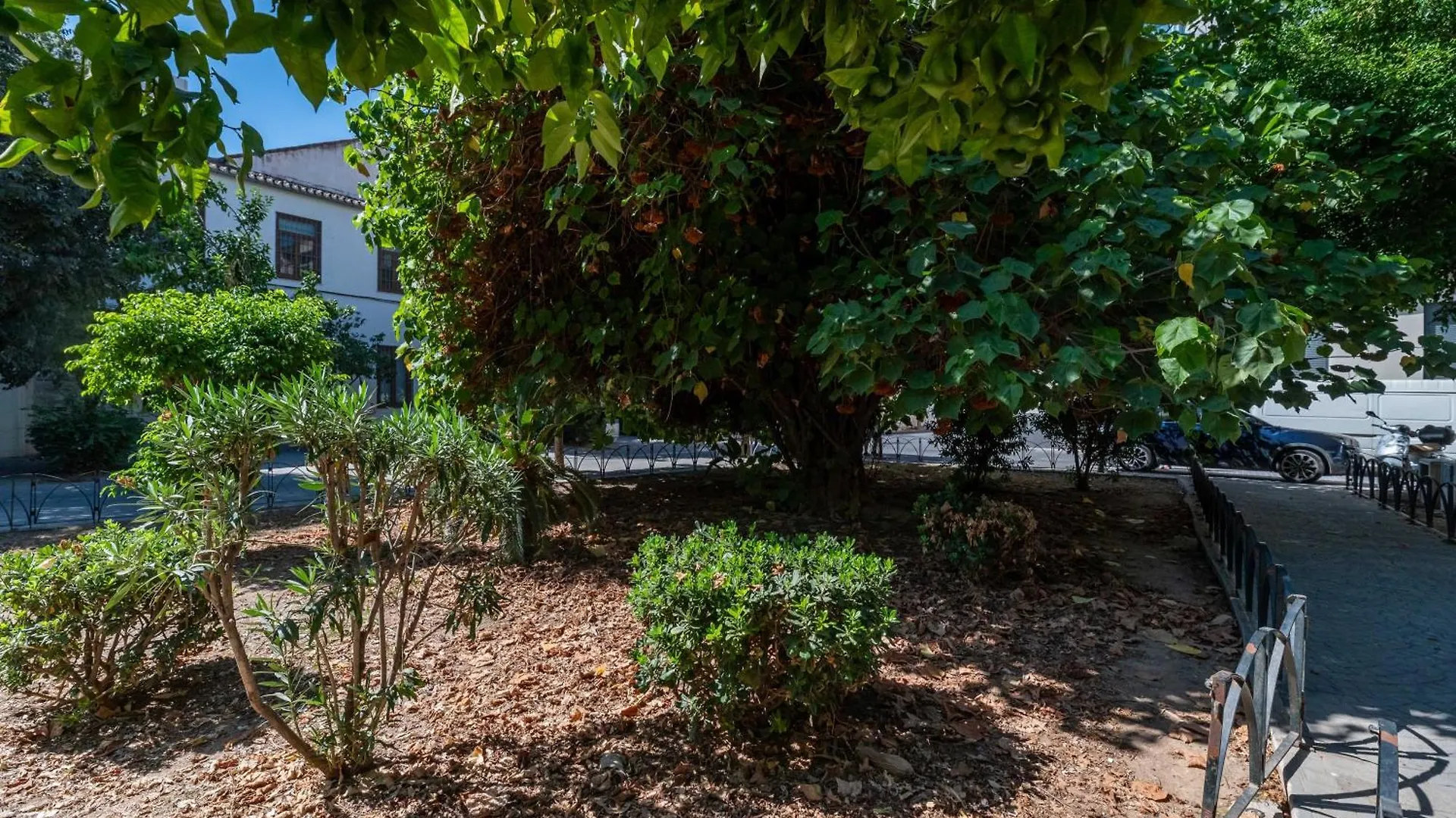 Apartamento MalagadeVacaciones - Don Rodrigo